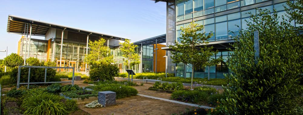 RMI complex