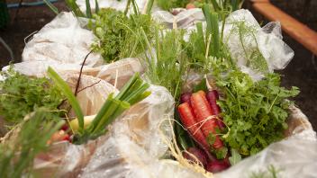 Red carrots