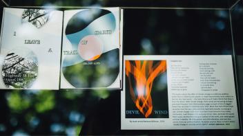 Special collections display