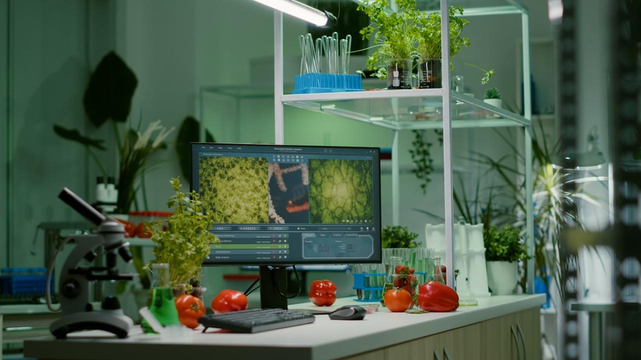 Food tech bench with vegetables, microscope, monitor, etc